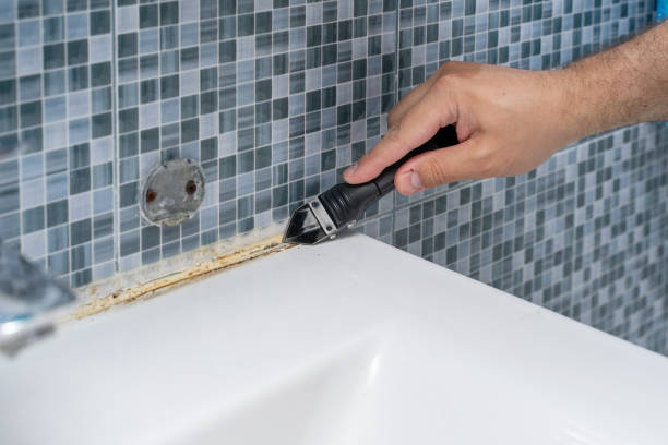 Best Industrial Mold Remediation in Boca Raton, FL
